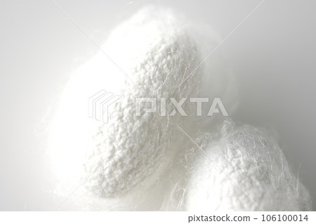 Photographing a white cocoon ball produced by silkworms against a white background 106100014