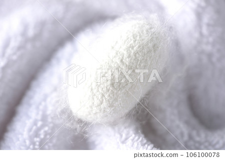 Photographing the white cocoon balls produced by silkworms on a towel 106100078