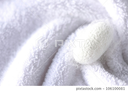 Photographing the white cocoon balls produced by silkworms on a towel 106100081