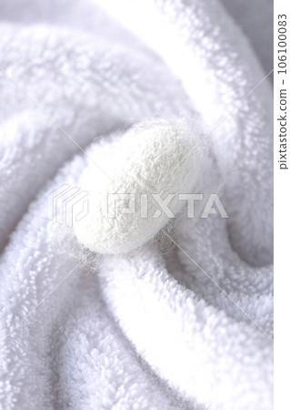 Photographing the white cocoon balls produced by silkworms on a towel 106100083