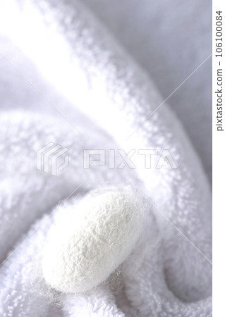 Photographing the white cocoon balls produced by silkworms on a towel 106100084