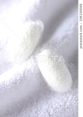 Photographing the white cocoon balls produced by silkworms on a towel 106100089