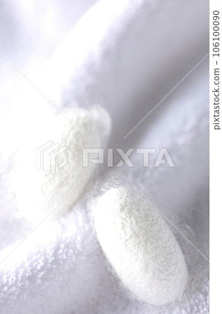 Photographing the white cocoon balls produced by silkworms on a towel Photographing the white cocoon balls produced by silkworms on a towel 106100090