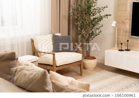 Cute armchair in modern Scandinavian style living room Cute armchair in modern Scandinavian style living room 106100961