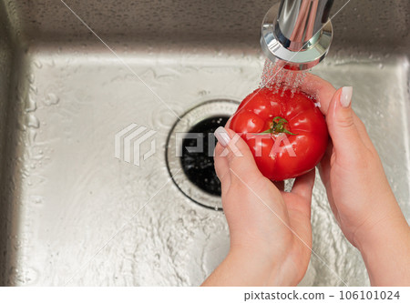 girl's hands washing a tomato in the kitchen girl's hands washing a tomato in the kitchen 106101024