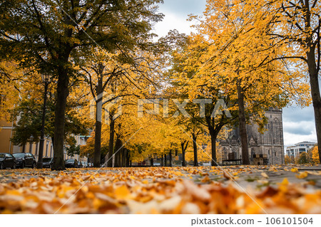 Scenic view of old ancient Magdeburger Dom cathedral at Dom square in Magdeburg old city center in bright orange autumn trees foliage in cloudy rainy day. Germany tourism and travel destiantion 106101504