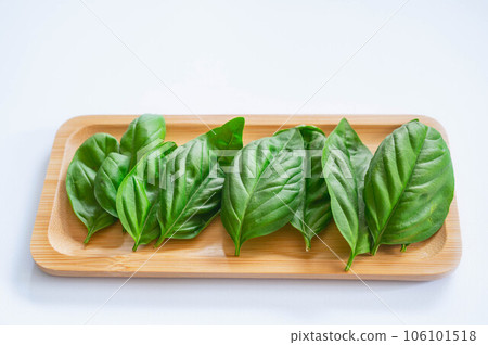 basil on a wooden plate 106101518