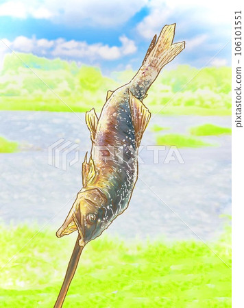 Clear stream and salt-grilled sweetfish Clear stream and salt-grilled sweetfish 106101551