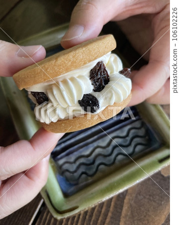 Raisin butter sandwich 106102226