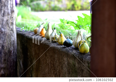 屋簷下的南瓜 106102502