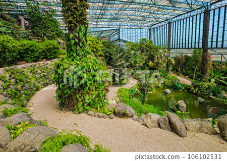 Interior view of the cold house Estufa Fria is a greenhouse with gardens, ponds, exotic plants and trees in Lisbon, Portugal Interior view of the cold house Estufa Fria is a greenhouse with gardens, ponds, exotic plants and trees in Lisbon, Portugal 106102531