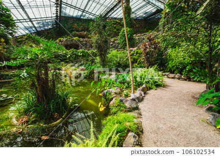 Interior view of the cold house Estufa Fria is a greenhouse with gardens, ponds, exotic plants and trees in Lisbon, Portugal Interior view of the cold house Estufa Fria is a greenhouse with gardens, ponds, exotic plants and trees in Lisbon, Portugal 106102534