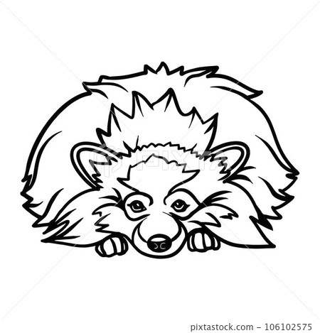 Pomeranian dog - Lying dog vector stock isolated illustration on white background. Pomeranian dog - Lying dog vector stock isolated illustration on white background. 106102575