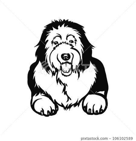Old English Sheepdog dog - Lying dog vector stock isolated illustration on white background. 106102589