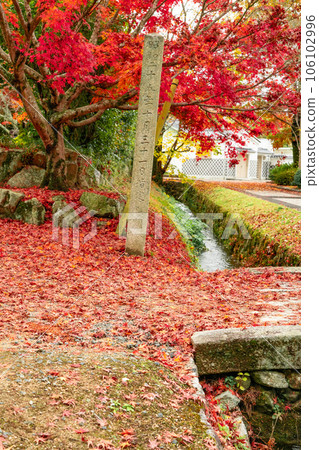 Ashimori feudal lord feudal lord's garden Late autumn Kinsuien Autumn leaves, moat, stone bridge and stone monument 2 Ashimori, Kita Ward, Okayama City, Okayama Prefecture Ashimori feudal lord feudal lord's garden Late autumn Kinsuien Autumn leaves, moat, stone bridge and stone monument 2 Ashimori, Kita Ward, Okayama City, Okayama Prefecture 106102996