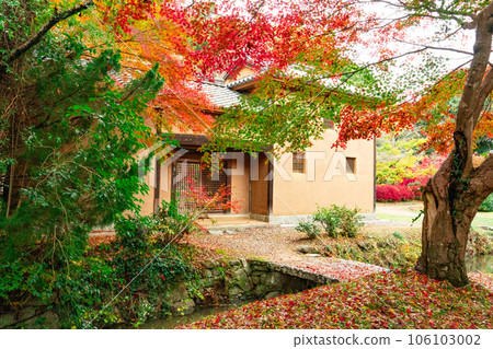 Toshigen Kinoshita's birthplace nagayamon and colored leaves 3 Ashimori, Kita Ward, Okayama City, Okayama Prefecture 106103002