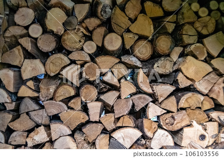 Photography on theme big wall of stacked oak tree logs in cracks 106103556