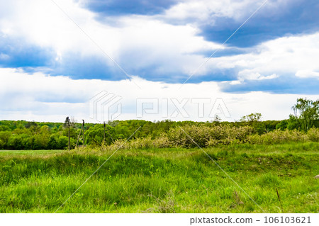 Beautiful horizon scenery in village meadow on color natural background Beautiful horizon scenery in village meadow on color natural background 106103621