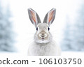 Portrait of cute bunny or rabbit against the backdrop of a winter forest 106103750
