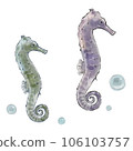 Zodiac seahorse handwritten style sketch illustration 106103757
