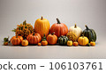 Many different pumpkins on white background. Choose best pumpkin for Halloween holiday decoration. 106103761