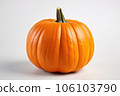 Single orange Pumpkin on white background. Perfect pumpkin for Halloween. 106103790