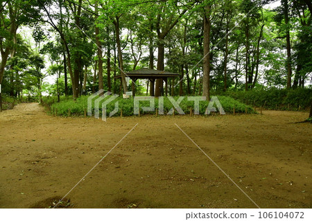 Koganejo 03 106104072