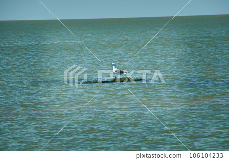 Dolzhanskaya spit Dolzhanskaya spit 106104233