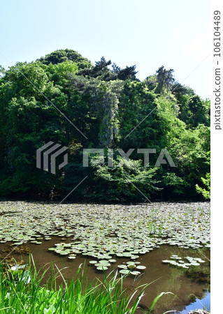 石神井城11 106104489