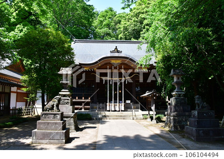 Shakujii Castle16 106104494