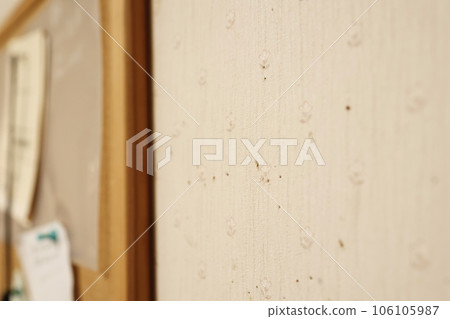 Wall with many thumbtack holes Wall with many thumbtack holes 106105987