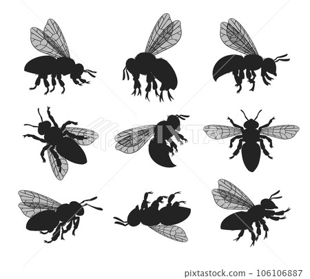 Cartoon bee silhouettes set. Honey bees flying insects, cute striped bumblebee insects. Winged honey bees flat vector illustration collection Cartoon bee silhouettes set. Honey bees flying insects, cute striped bumblebee insects. Winged honey bees flat vector illustration collection 106106887
