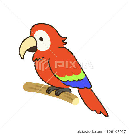 可愛的鸚鵡圖 106108017
