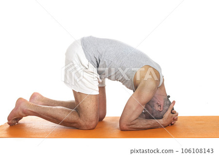 hatha yoga asana 106108143
