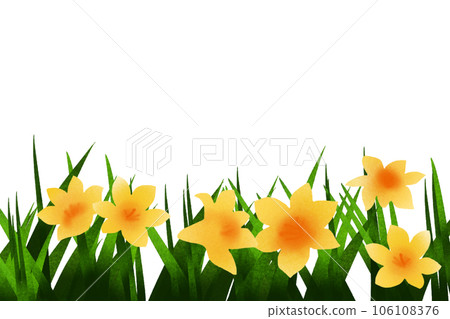 黃花菜花卡 106108376