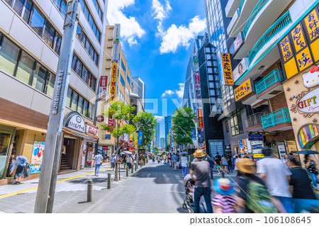 Tokyo cityscape in Japan Summer sunshine... overlooking the downtown area in front of Ikebukuro Station, SUNSHINE 60ST, etc. 106108645