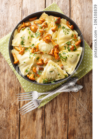 Triangoli is a simple triangle shaped pasta filling with chanterelle mushrooms, onion and herbs closeup on the plate. Vertical top view 106108839