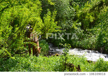 Gorny Altai, Russia, brown horse drinking water from a river, mountain river, horse at a watering hole, outdoor recreation away from civilization 106109018