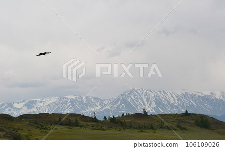 Gorny Altai, Russia, Severo-Chuisky ridge, Belukha Mountain, mountain pass, Chuisky Valley, bird in the sky, far from civilization 106109026