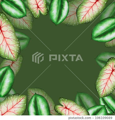 Watercolor frame with realistic tropical leafs. Illustration of monstera, caladium , ficus leafs isolated on white background. Beautiful botanical hand painted floral elements. For designers, spa 106109089