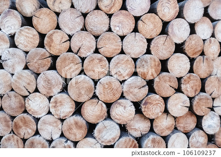 Malia Beach - Crete - July - 2023 106109237