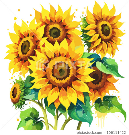 Sunflowers bouquet. Vector illustration isolated on white background. 106111422
