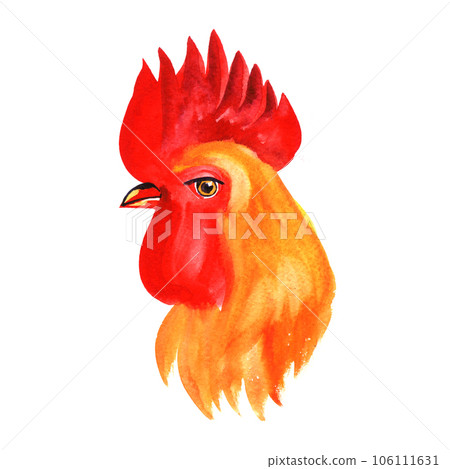 Hand drawn animalistic illustration. Image of roosters isolated on white. Hand drawn animalistic illustration. Image of roosters isolated on white. 106111631