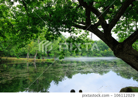 Tori Numa Park 106112029