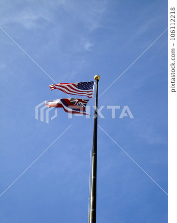 USA and HAWAII state Flag 106112218