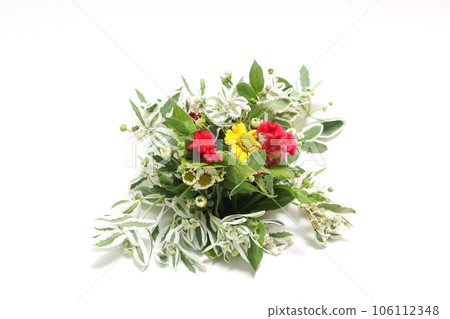 雪花蓮和雞冠花束 雪花蓮和雞冠花束 106112348