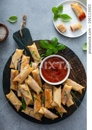 Homemade mozzarella and salami sticks with marinara 106113003