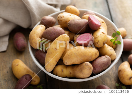 Yellow and purple fingerling potatoes ready to be cooked 106113436