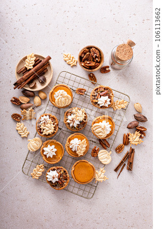 Mini pumpkin and pecan pies baked in muffin tin Mini pumpkin and pecan pies baked in muffin tin 106113662