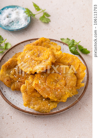 Tostones, traditional Carribean dish, twice fried plantains Tostones, traditional Carribean dish, twice fried plantains 106113703